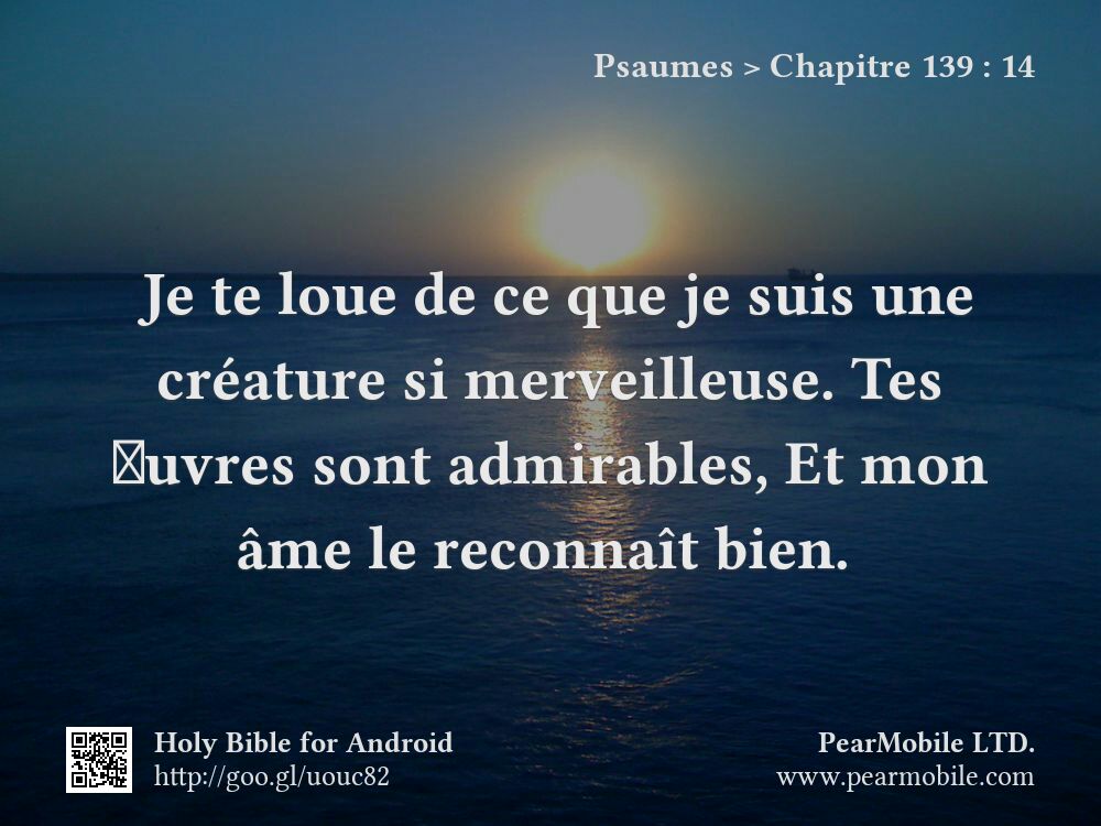 Psaumes, Chapitre 139:14